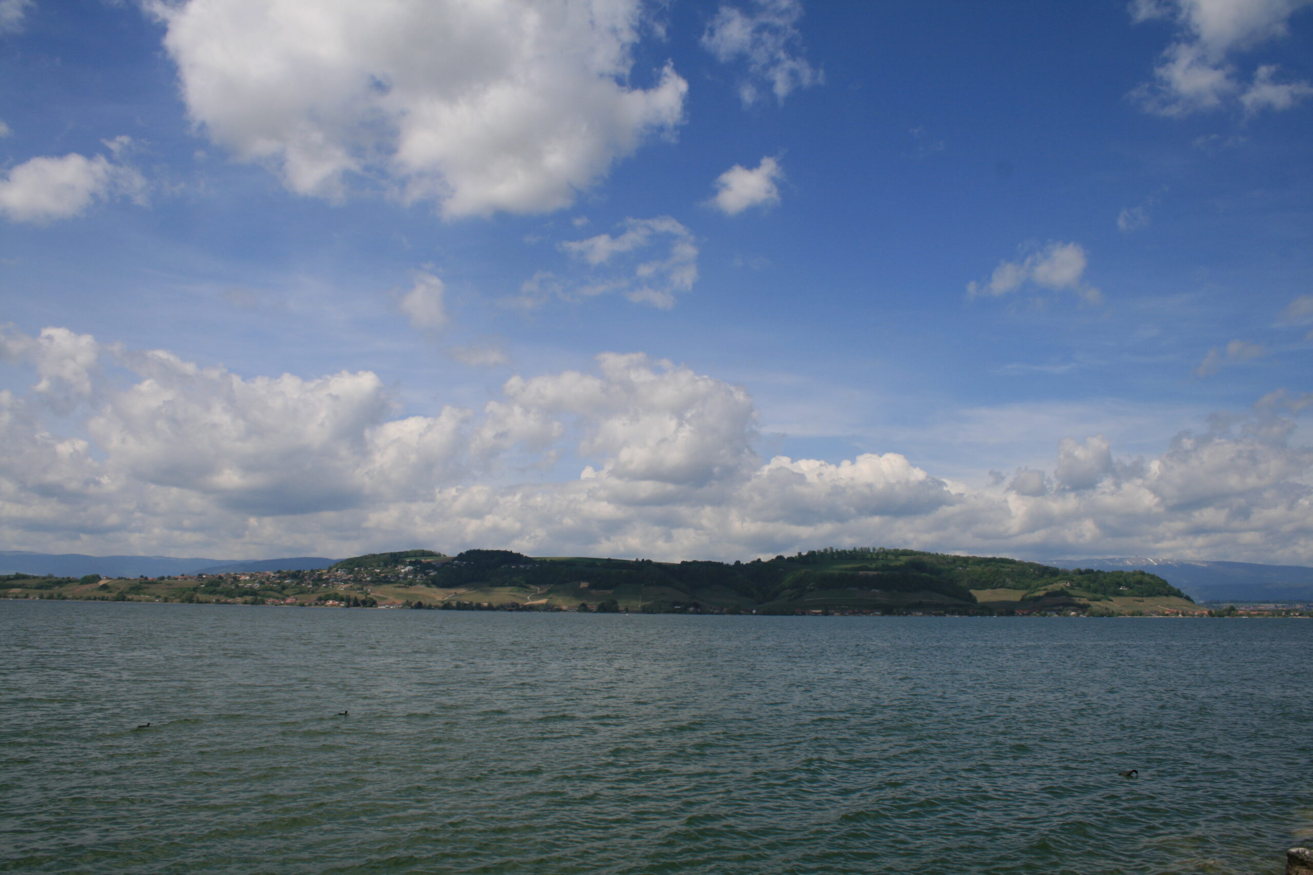 Hintergrundbild dites-nous tout !