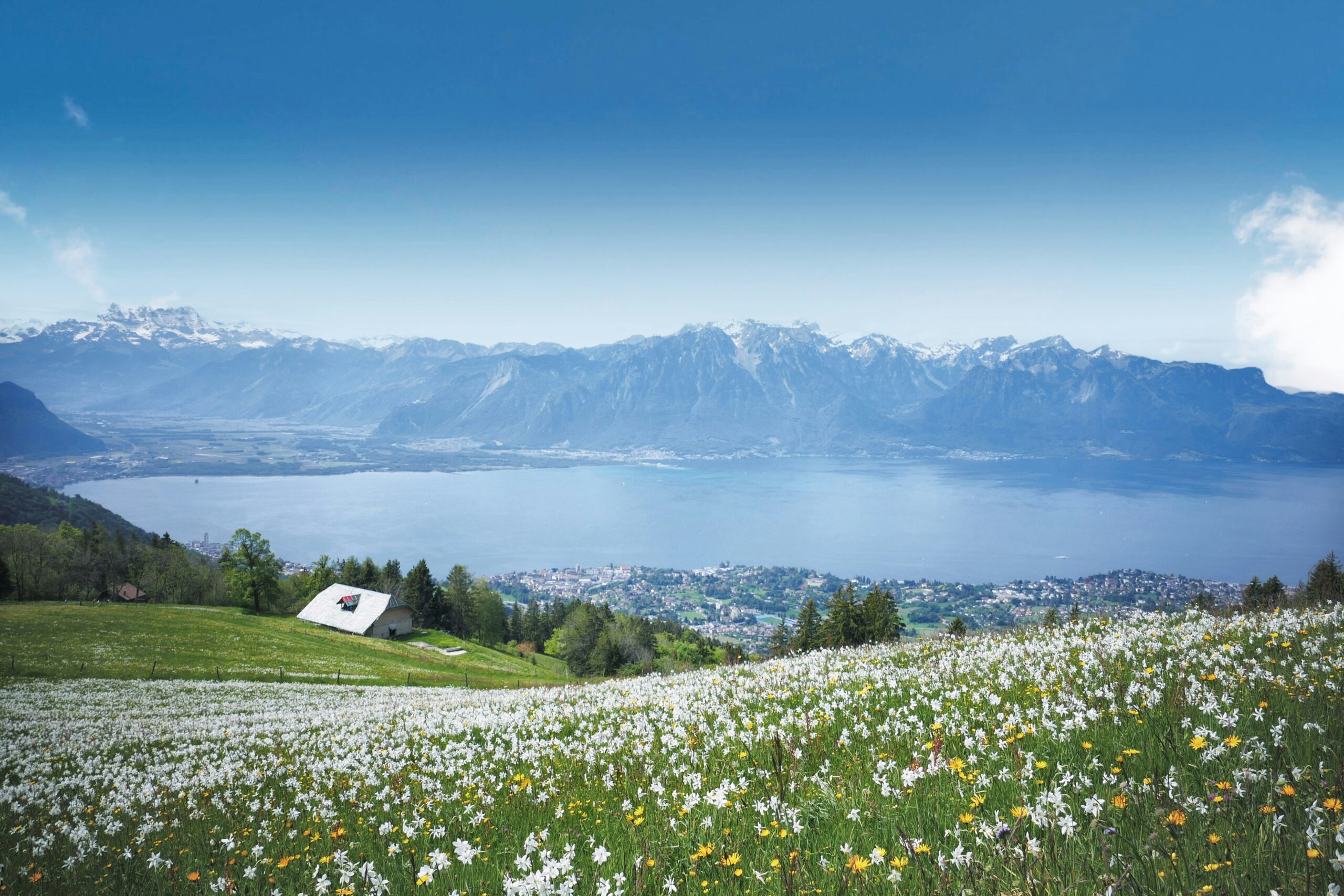 Hintergrundbild DITES-NOUS TOUT !